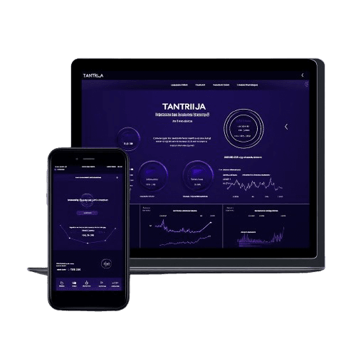 UI of the developed crypto betting platform