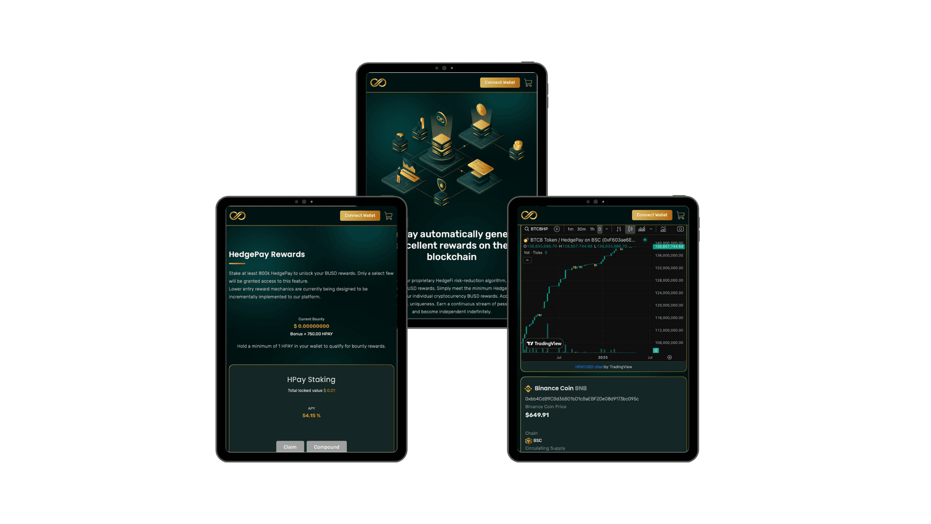 Client requirements for HedgePay platform