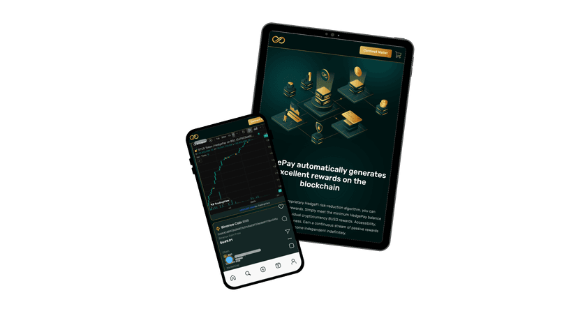 HedgePay DeFi Platform Case Study