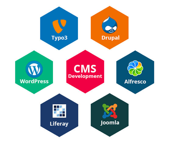 Content management system dashboard illustration
