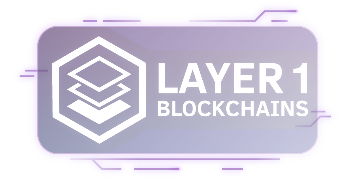 Layer 1 blockchain architecture visualization