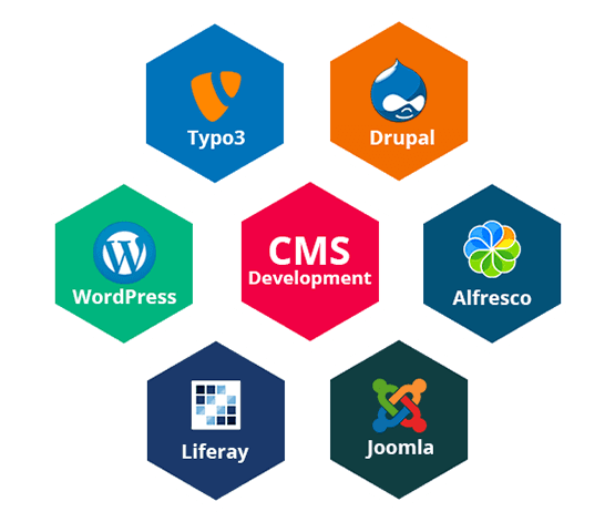 Content management system dashboard illustration